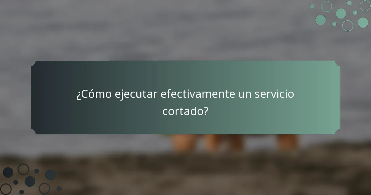 ¿Cómo ejecutar efectivamente un servicio cortado?