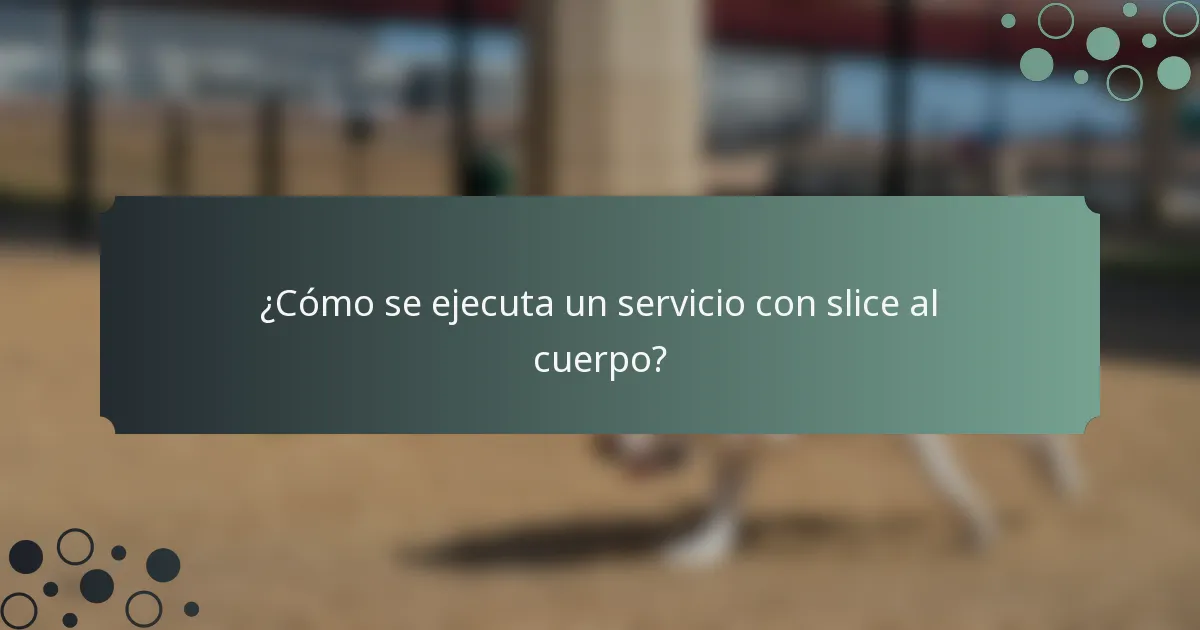 ¿Cómo se ejecuta un servicio con slice al cuerpo?