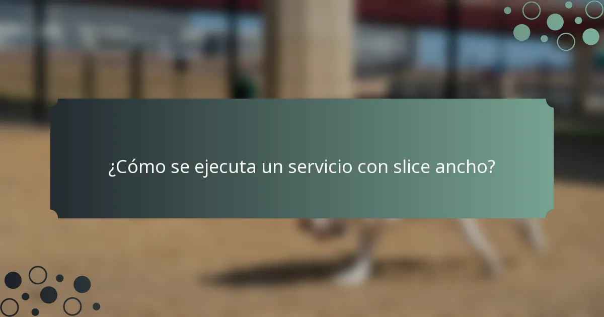 ¿Cómo se ejecuta un servicio con slice ancho?