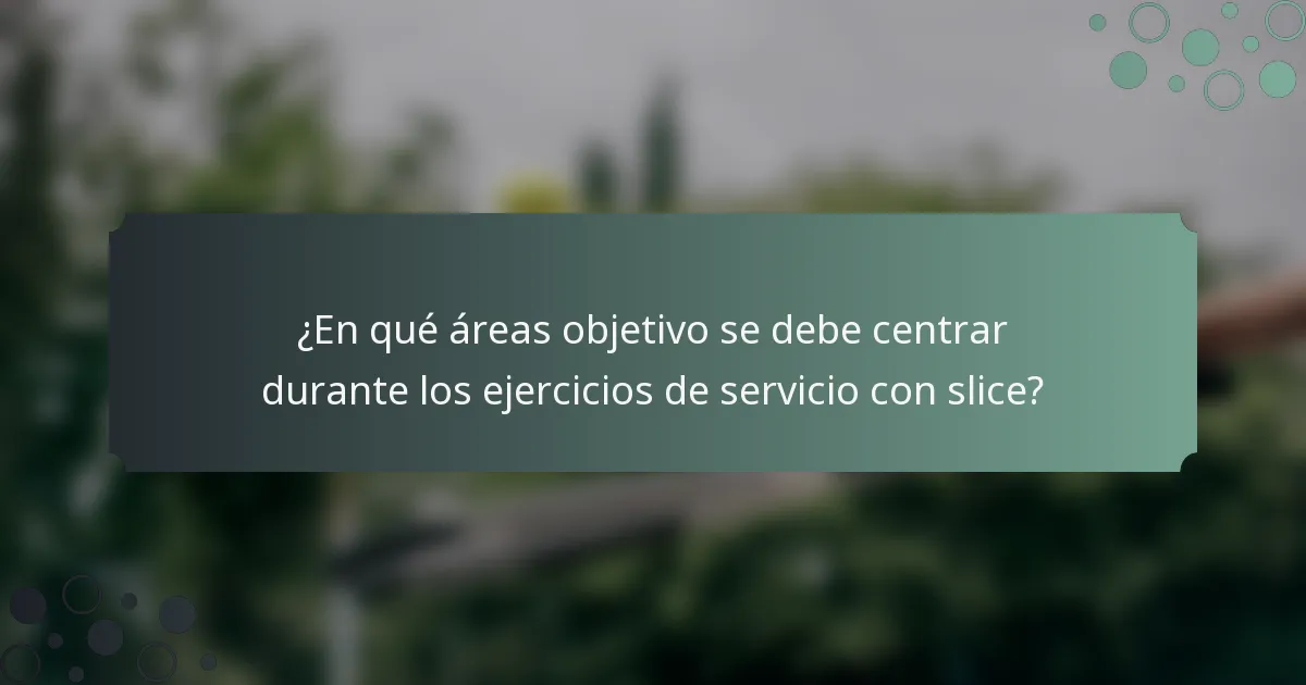 ¿En qué áreas objetivo se debe centrar durante los ejercicios de servicio con slice?